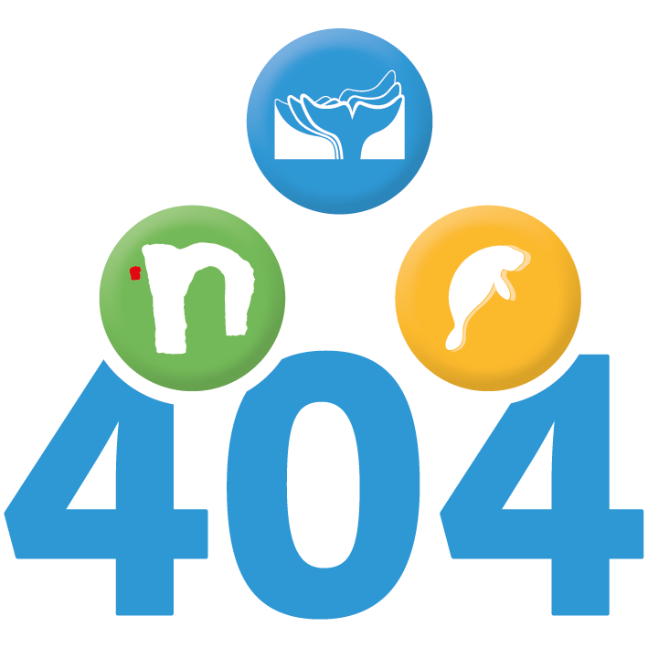 FHE_404-Fehler